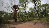 Number of Refugees Grows to 65,000
