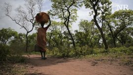 Number of Refugees Grows to 65,000