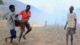 The Bombing Campaign