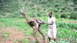 The Scars that Remain: Life without an arm