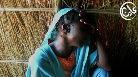 Civilians Caught in Hail of Artillery Fire