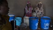 Sudan Insider: The Politics of a Ceasefire | Nuba Refugees Consider Next Move | Civil Society Facing Death Penalty