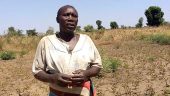 Sudan Insider: Ceasefire aside, intermittent conflict and hunger persist in Two Areas